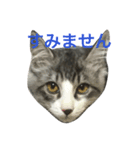 吾輩はレオである（個別スタンプ：10）