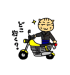 バイクねこ（個別スタンプ：1）
