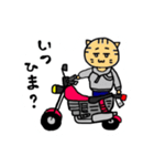 バイクねこ（個別スタンプ：5）