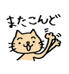 ねこの にゃんきち の日々（個別スタンプ：19）
