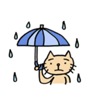ねこの にゃんきち の日々（個別スタンプ：40）