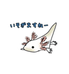 魚たんぷ 2（個別スタンプ：1）