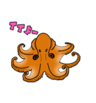 魚たんぷ 2（個別スタンプ：5）