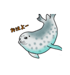 魚たんぷ 2（個別スタンプ：8）