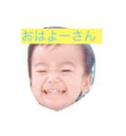 kotaスタ（個別スタンプ：1）