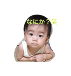 kotaスタ（個別スタンプ：5）