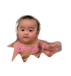 kotaスタ（個別スタンプ：11）
