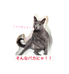 癒しネコぷる〜（個別スタンプ：1）