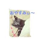 癒しネコぷる〜（個別スタンプ：2）