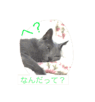 癒しネコぷる〜（個別スタンプ：8）