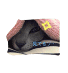 癒しネコぷる〜（個別スタンプ：9）