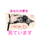 癒しネコぷる〜（個別スタンプ：10）