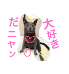 癒しネコぷる〜（個別スタンプ：13）