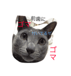 癒しネコぷる〜（個別スタンプ：14）
