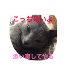 癒しネコぷる〜（個別スタンプ：21）
