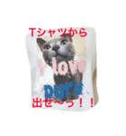 癒しネコぷる〜（個別スタンプ：24）