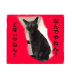 癒しネコぷる〜（個別スタンプ：28）
