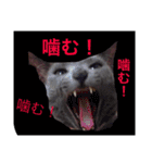 癒しネコぷる〜（個別スタンプ：31）