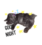 愛猫レオちゃん（個別スタンプ：4）