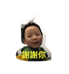 DoDo cute（個別スタンプ：1）