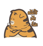 khao mok the tiger（個別スタンプ：8）