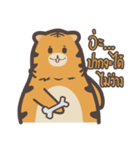 khao mok the tiger（個別スタンプ：14）