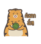 khao mok the tiger（個別スタンプ：21）