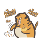 khao mok the tiger（個別スタンプ：26）