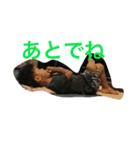 やまと0626（個別スタンプ：5）