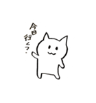 ウィンドサーフィン ねこ（個別スタンプ：1）