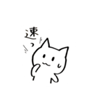 ウィンドサーフィン ねこ（個別スタンプ：20）