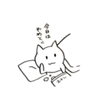 ウィンドサーフィン ねこ（個別スタンプ：25）
