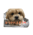 れあのスタンプ24（個別スタンプ：9）