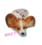 みーちゃんの1日（個別スタンプ：1）