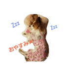 みーちゃんの1日（個別スタンプ：2）