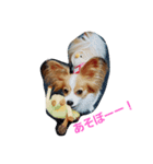 みーちゃんの1日（個別スタンプ：4）