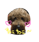 愛犬ぷーた（個別スタンプ：2）