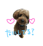 愛犬ぷーた（個別スタンプ：4）