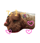 愛犬ぷーた（個別スタンプ：6）