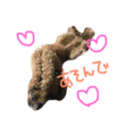 愛犬ぷーた（個別スタンプ：8）