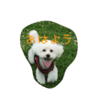 メイちゃんのスタンプ1（個別スタンプ：1）