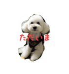 メイちゃんのスタンプ1（個別スタンプ：3）