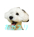 メイちゃんのスタンプ1（個別スタンプ：4）