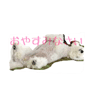 メイちゃんのスタンプ1（個別スタンプ：5）