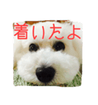 メイちゃんのスタンプ1（個別スタンプ：6）