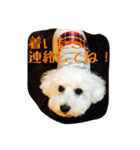 メイちゃんのスタンプ1（個別スタンプ：14）