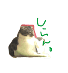 トマト実写化（個別スタンプ：6）