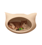 立ち耳スコ たま美 1（個別スタンプ：4）