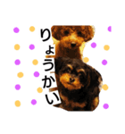 mocaスタンプ（個別スタンプ：11）