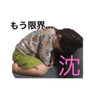 爆走！！イツメンすたんぷー（個別スタンプ：17）